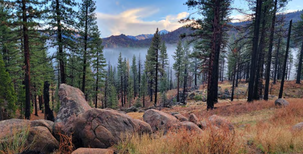 A hilltop view of large rocks, trees and a mountain range