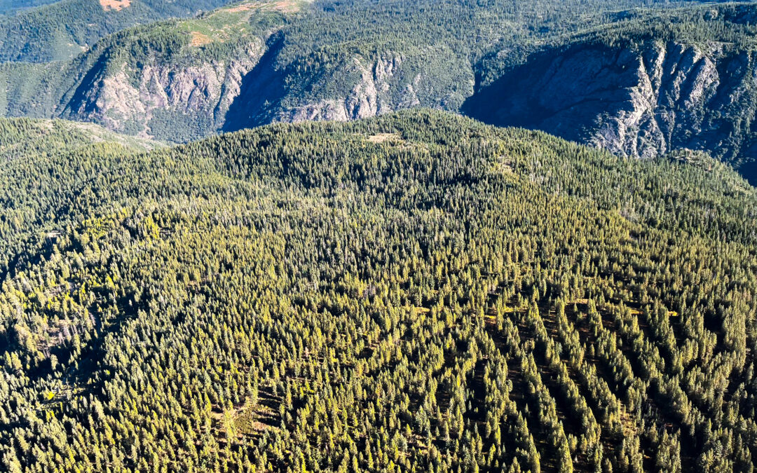 Nevada County expands capacity, efforts to restore forests, protect communities