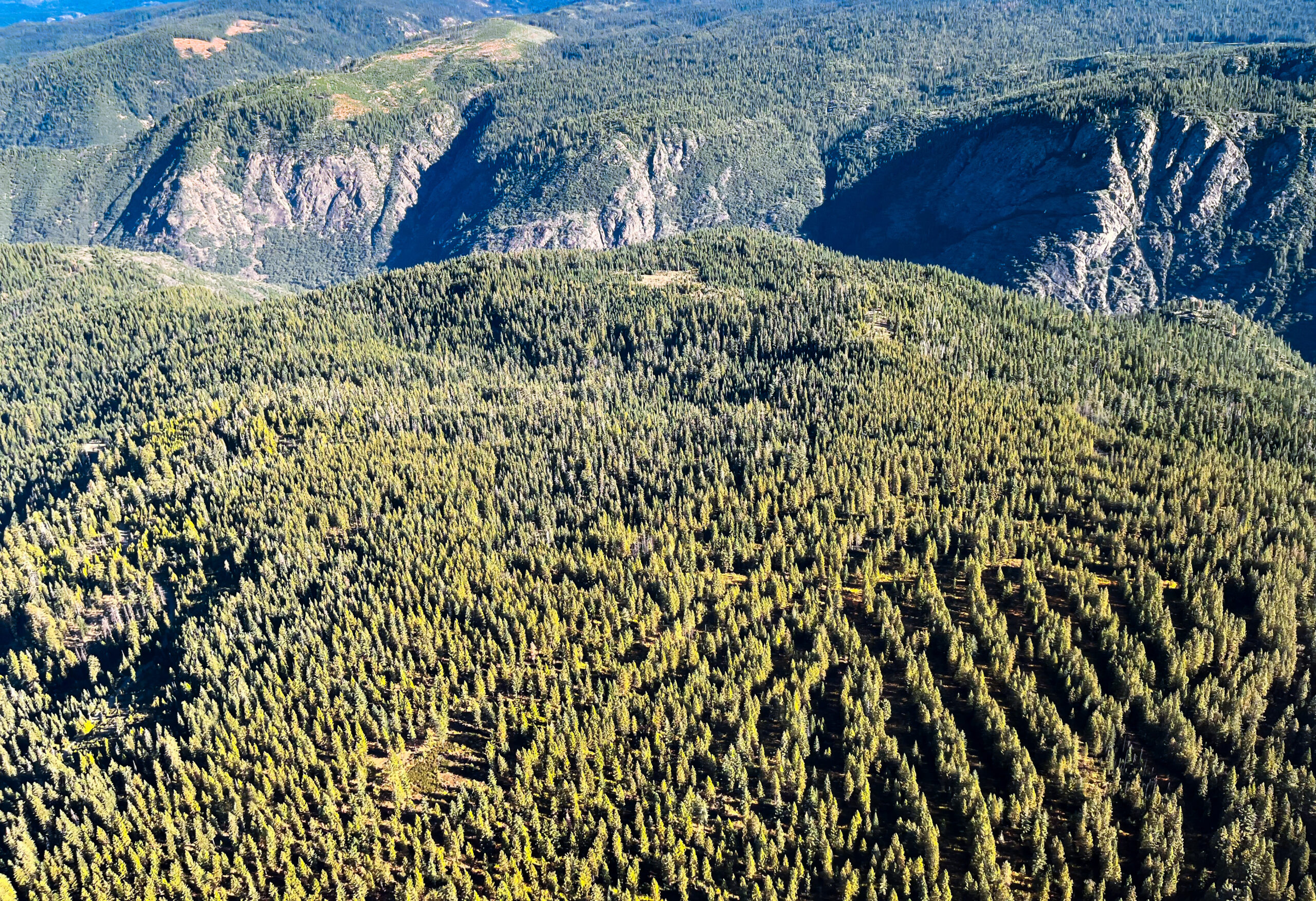 An aerial view of a canyon with trees growing on either side.